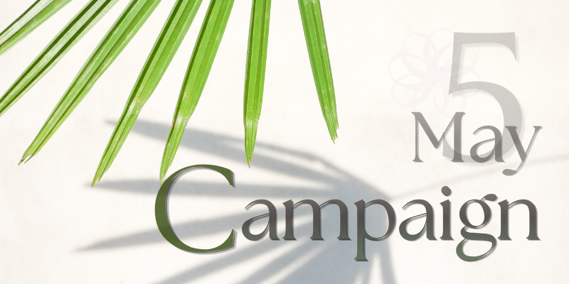 🌿🎏 May Limited-Time Campaign!! 🎏🌿
